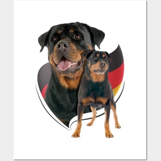 Rottweiler  - Metzgerhund Posters and Art